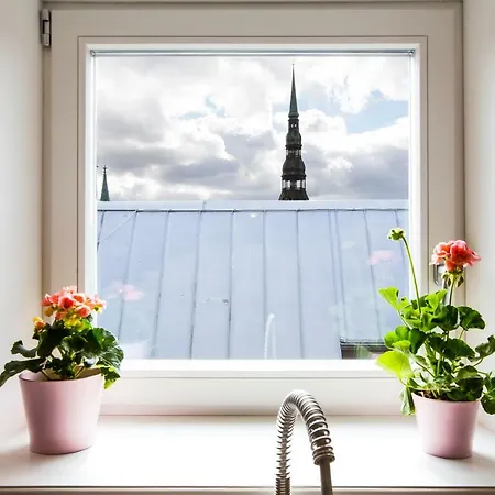 아파트 Luxury Penthouse Old Town 리가