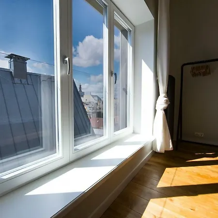 Luxury Penthouse Old Town 아파트 리가
